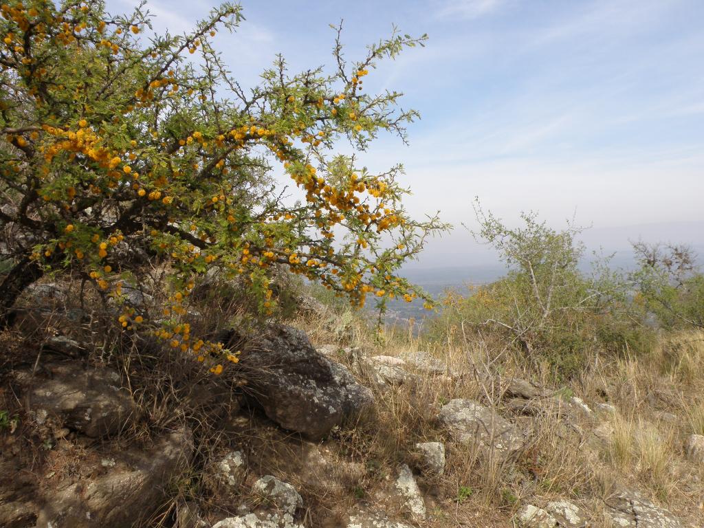 Foto de Villa General Belgrano (Córdoba), Argentina