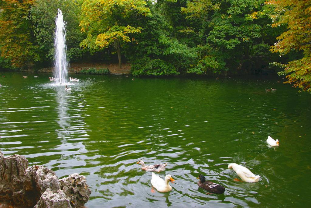 Foto de Valladolid (Castilla y León), España