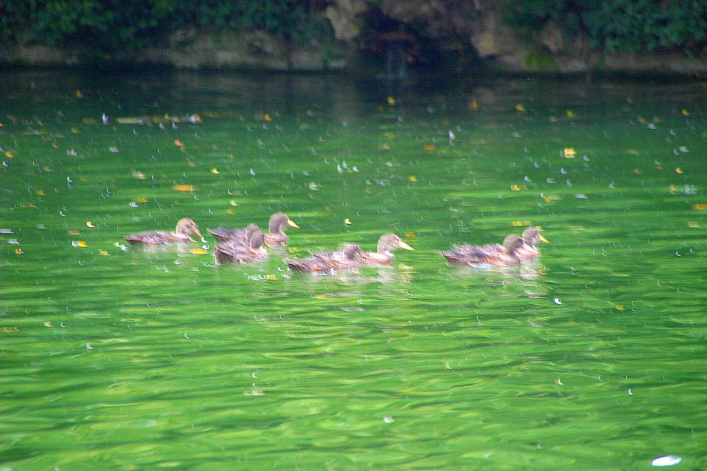 Foto de Valladolid (Castilla y León), España