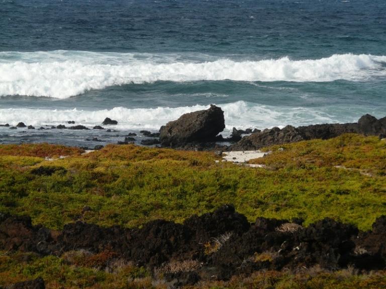 Foto de Lanzarote (Las Palmas), España