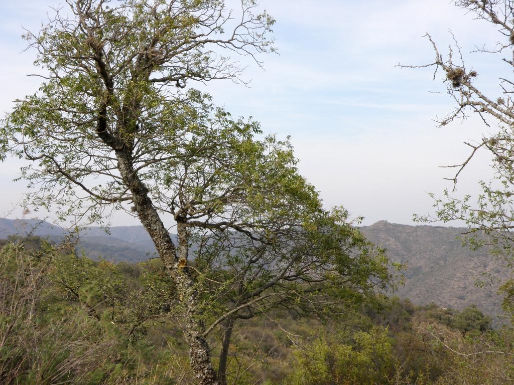 Foto de Villa General Belgrano (Córdoba), Argentina