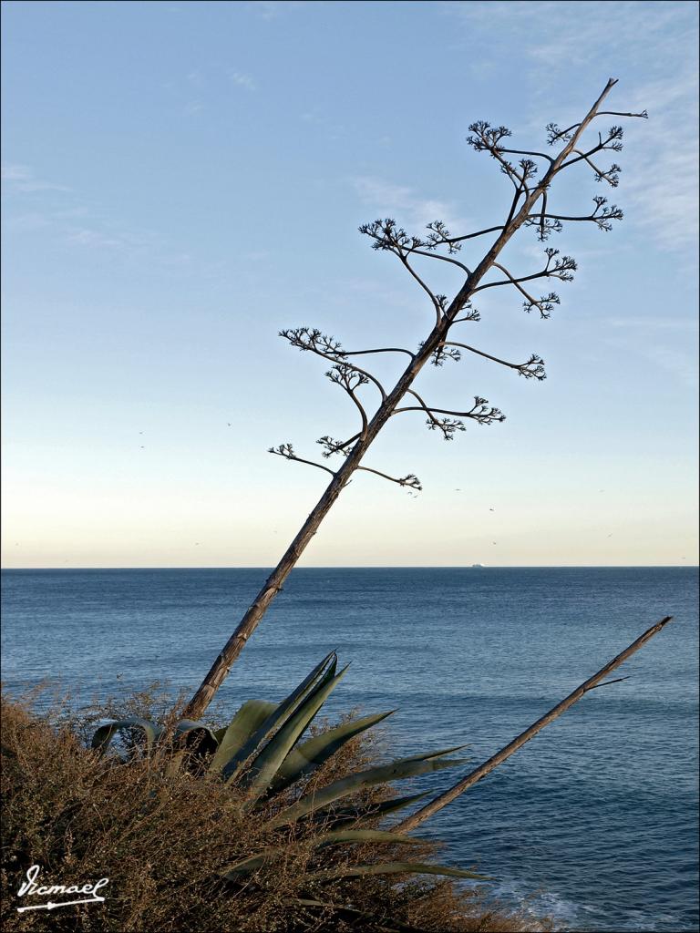 Foto de Roc de Sant Cayetá (Tarragona), España