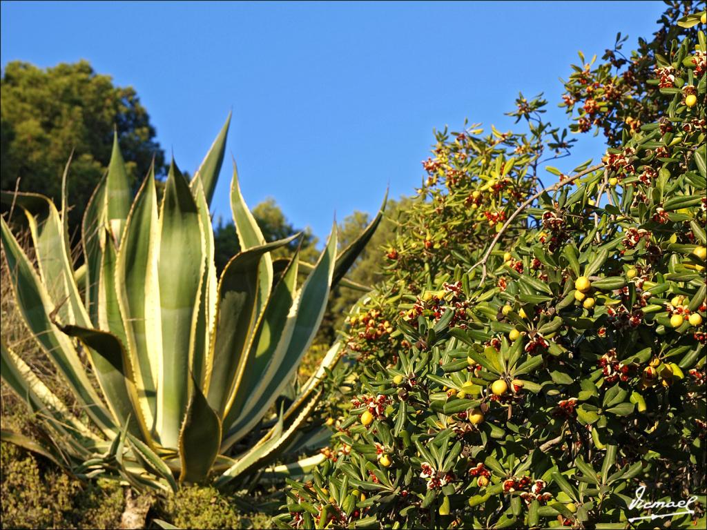 Foto de Roc de Sant Cayetá (Tarragona), España