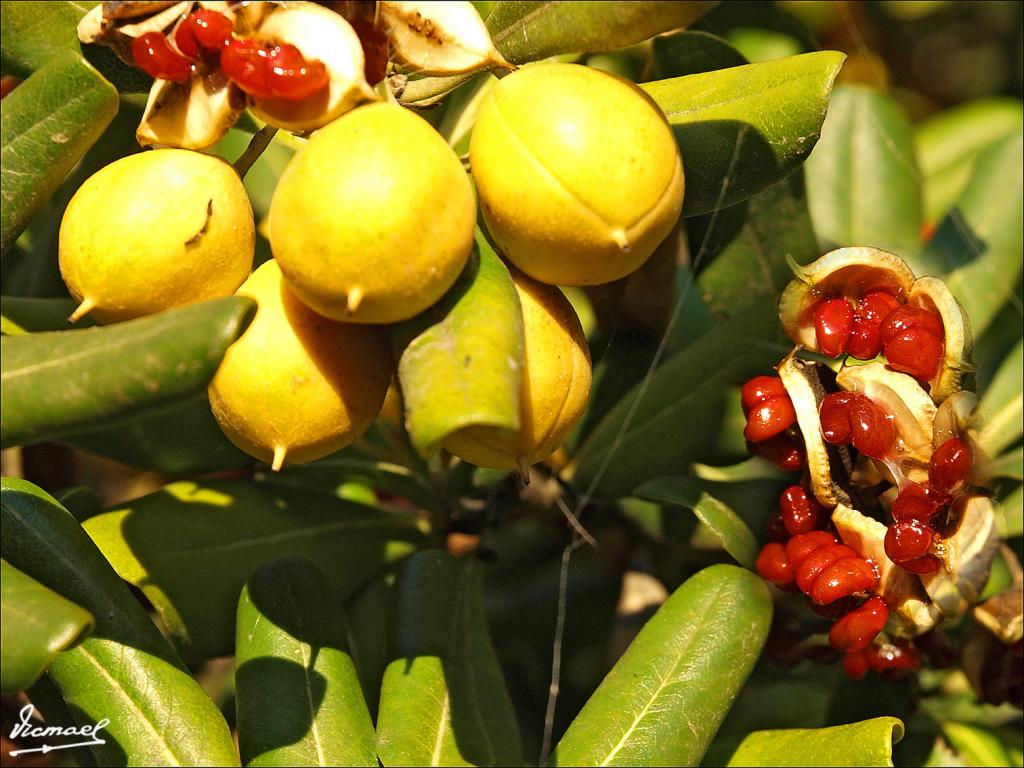 Foto de Roc de Sant Cayetá (Tarragona), España
