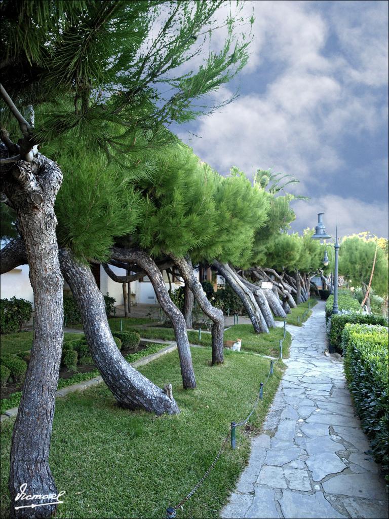 Foto de Roc de Sant Cayetá (Tarragona), España