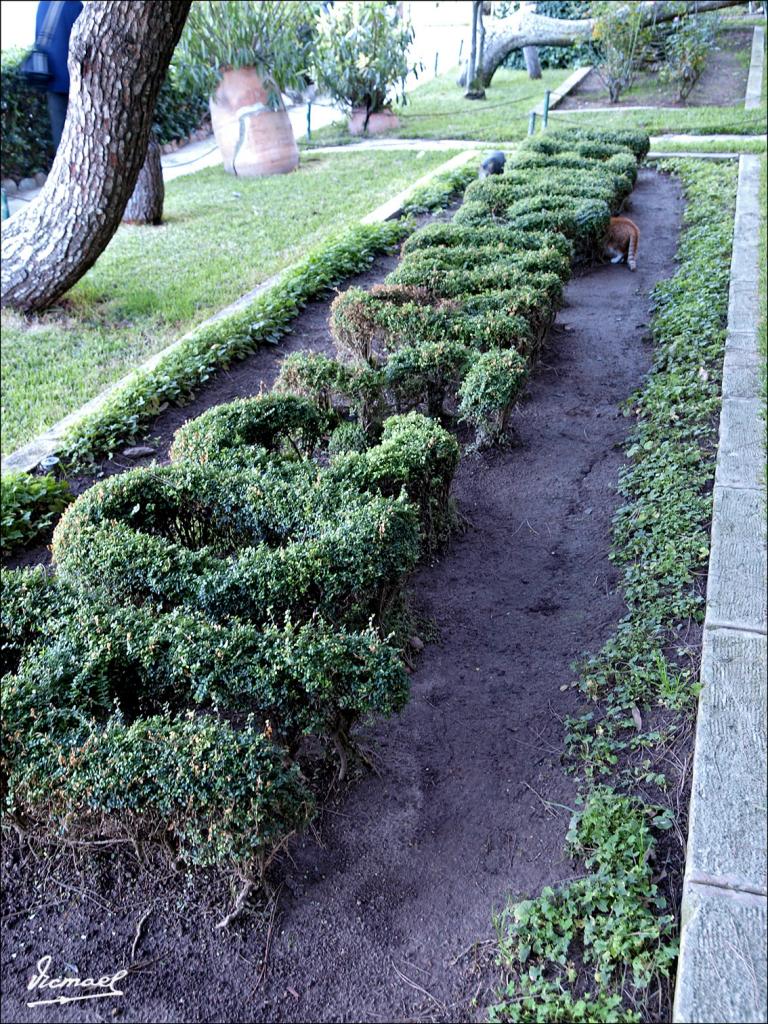 Foto de Roc de Sant Cayetá (Tarragona), España