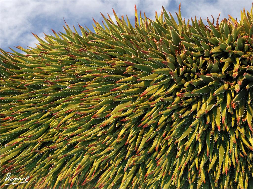Foto de Roc de Sant Cayetá (Tarragona), España