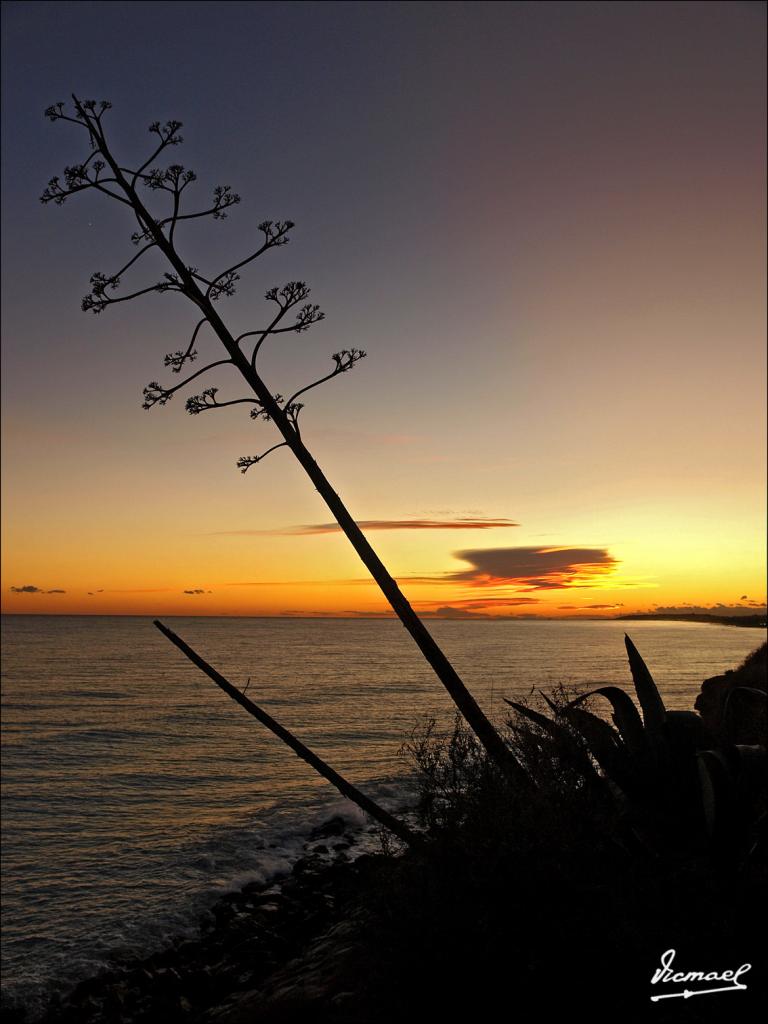 Foto de Roc de Sant Cayetá (Tarragona), España