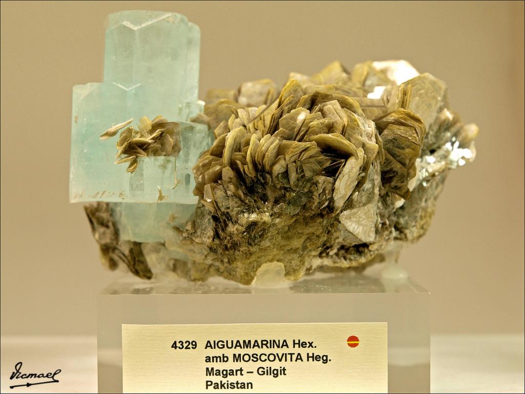 Foto de Arenys de Mar (Barcelona), España