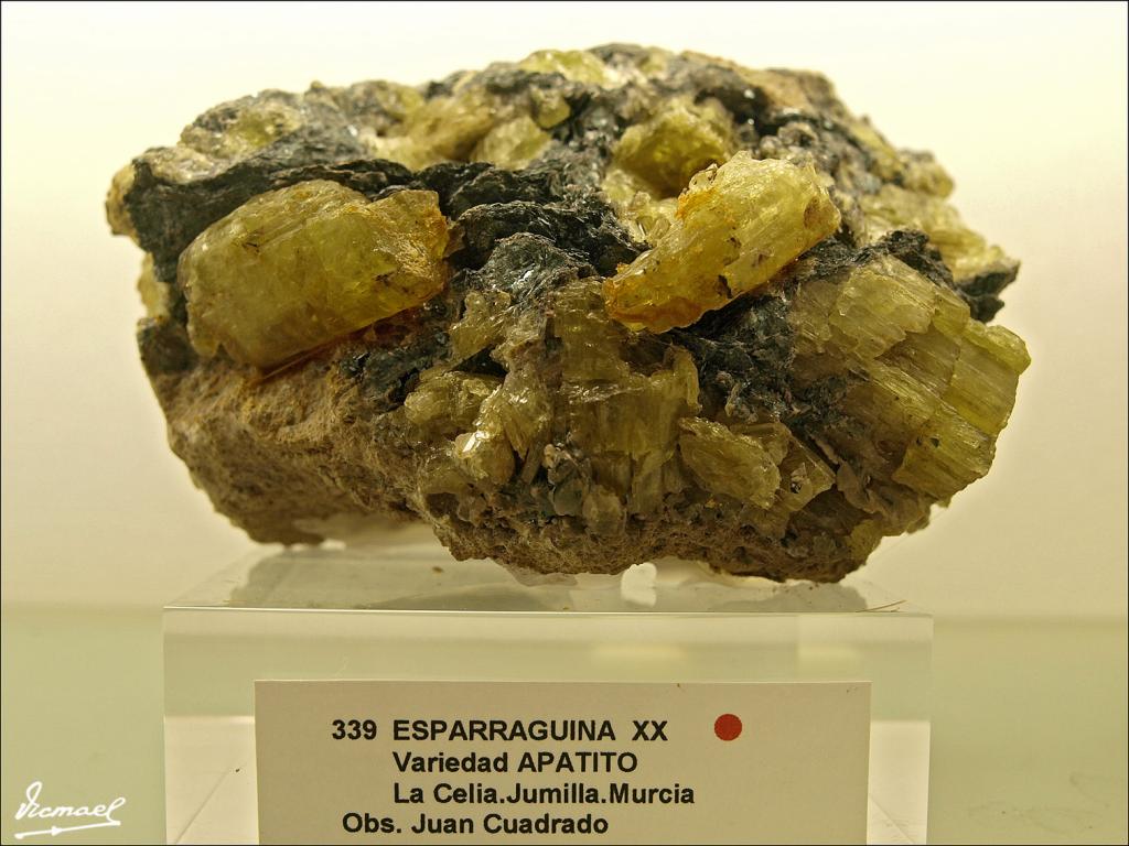 Foto de Arenys de Mar (Barcelona), España