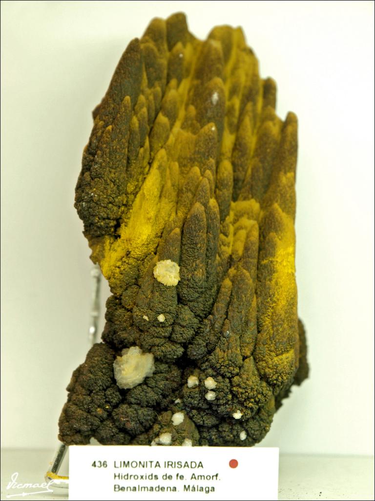 Foto de Arenys de Mar (Barcelona), España