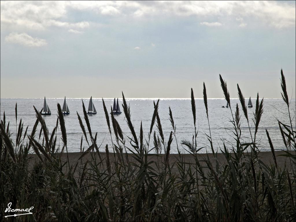 Foto de Arenys de Mar (Barcelona), España