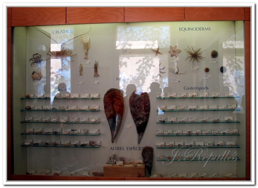 Foto de Peñíscola (Castelló), España