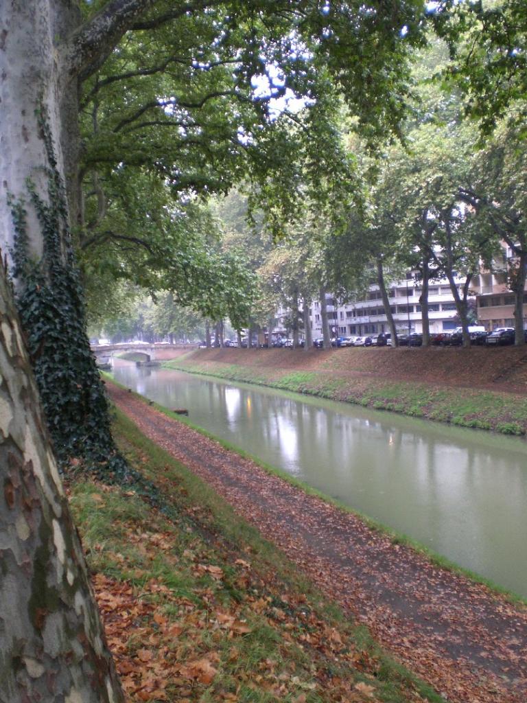 Foto de Toulouse, Francia