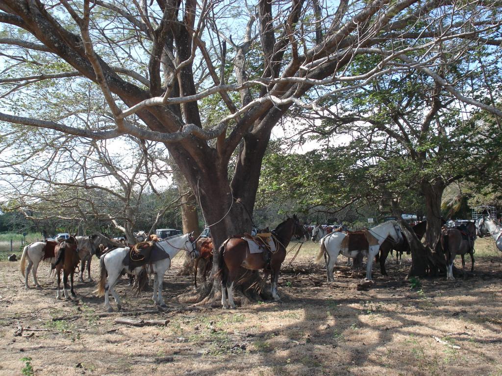 Foto de Guanacaste, Costa Rica