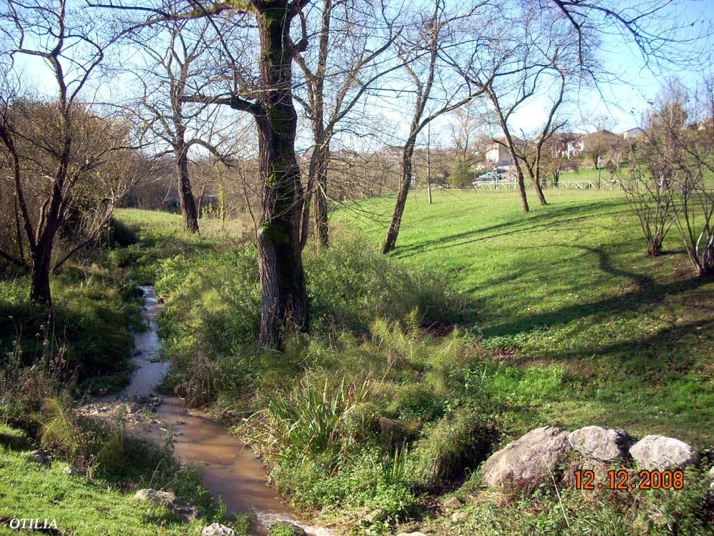 Foto de Oviedo (Asturias), España