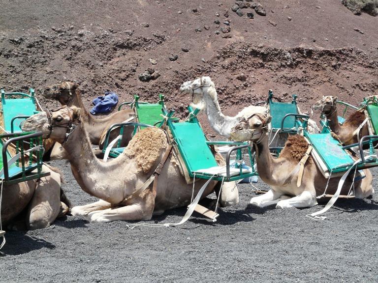 Foto de Lanzarote (Las Palmas), España