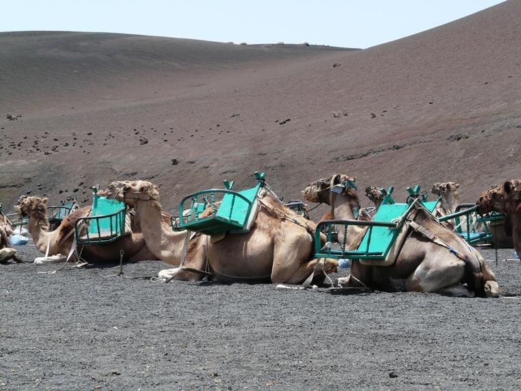 Foto de Lanzarote (Las Palmas), España