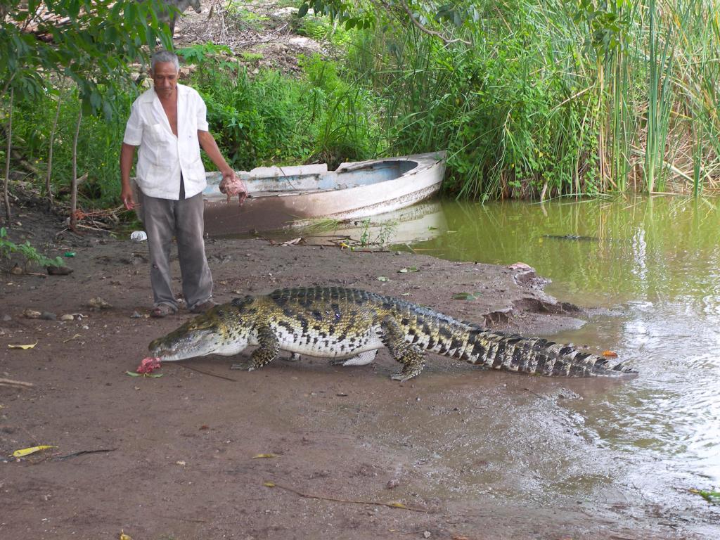 Foto de Tecomán (Colima), México
