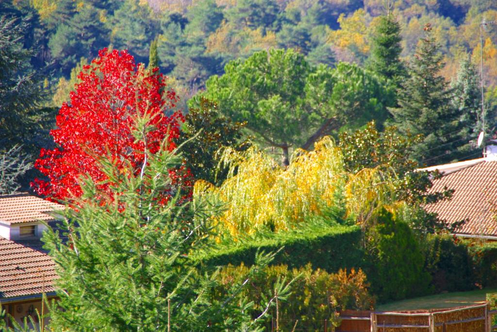 Foto de Viladrau (Barcelona), España