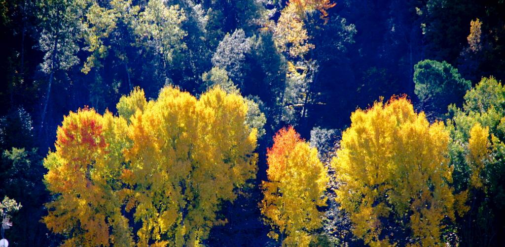 Foto de Viladrau (Barcelona), España