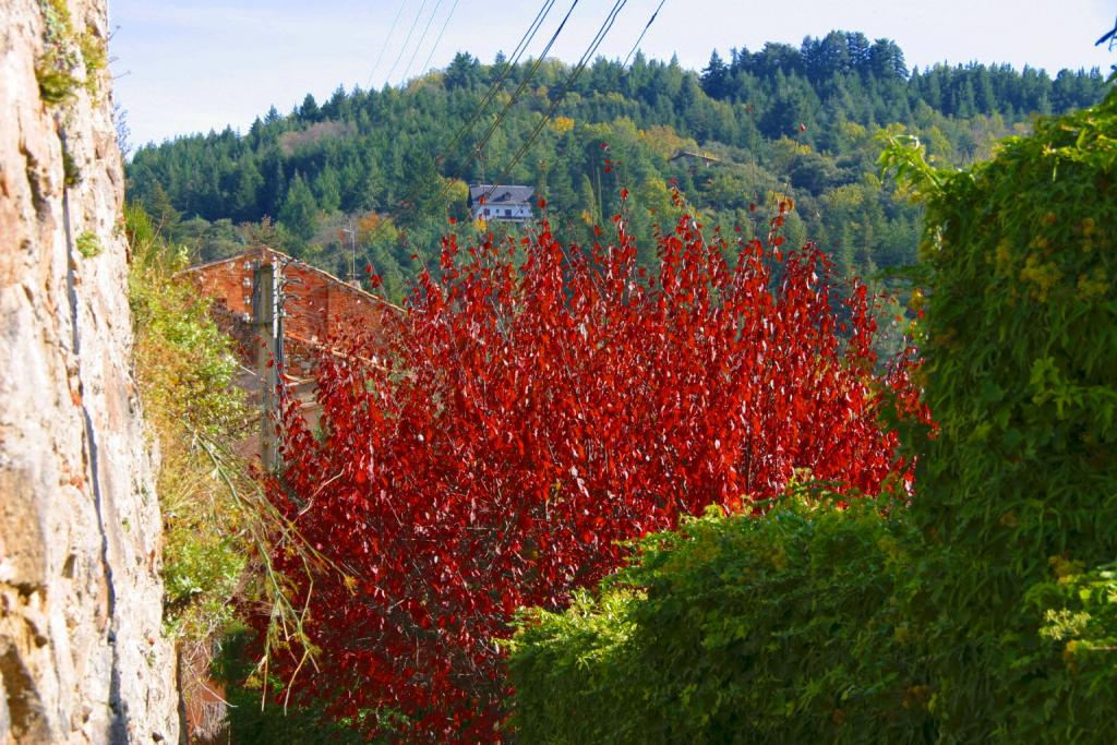 Foto de Viladrau (Barcelona), España