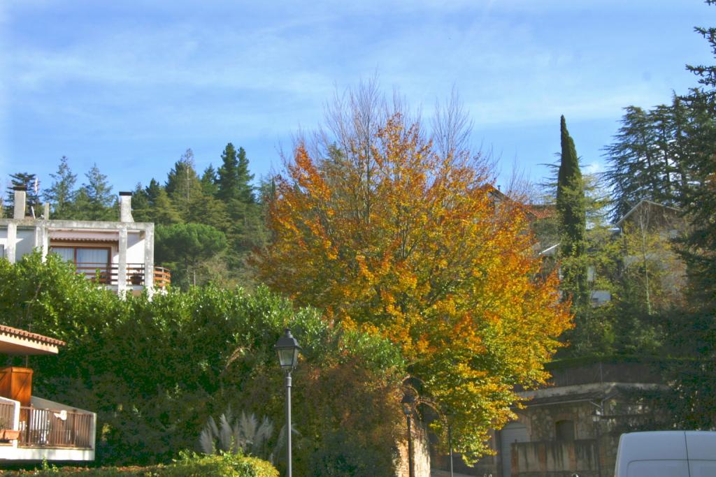 Foto de Viladrau (Barcelona), España