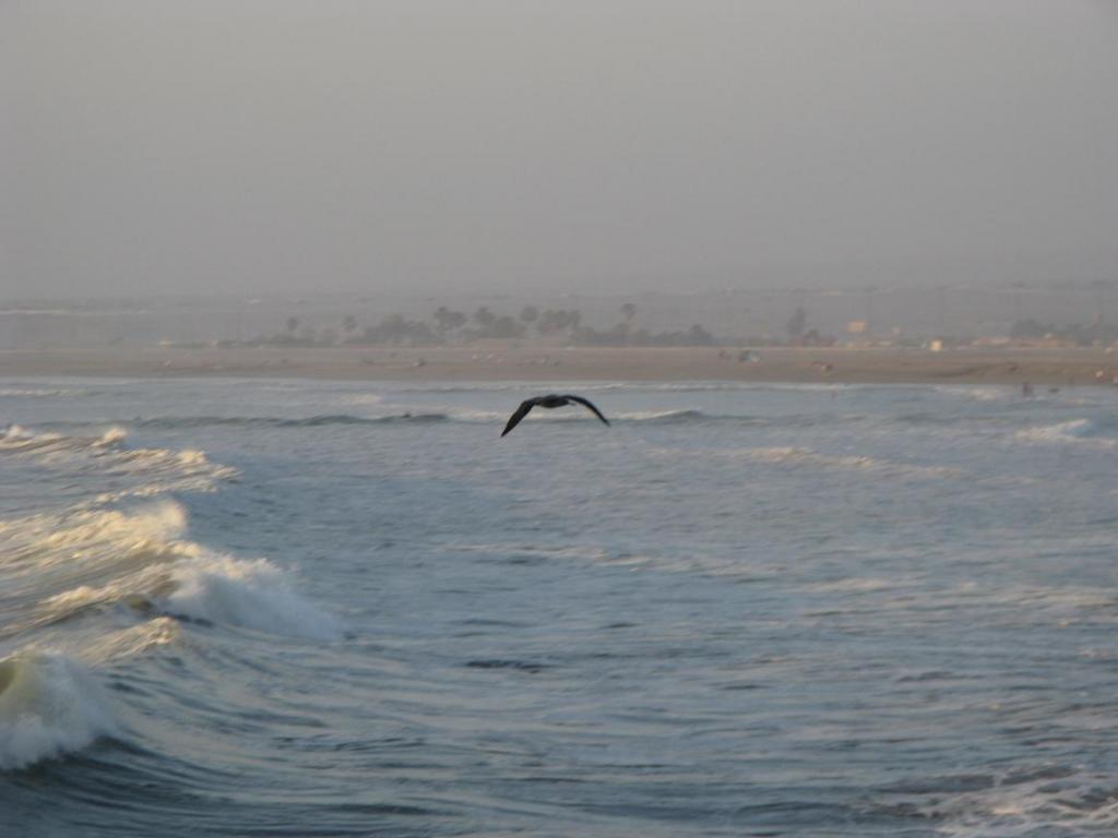Foto de Arica, Chile