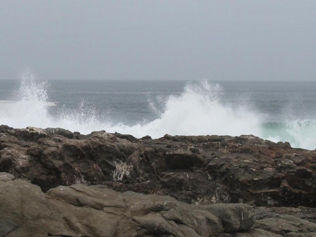 Foto de Arica, Chile