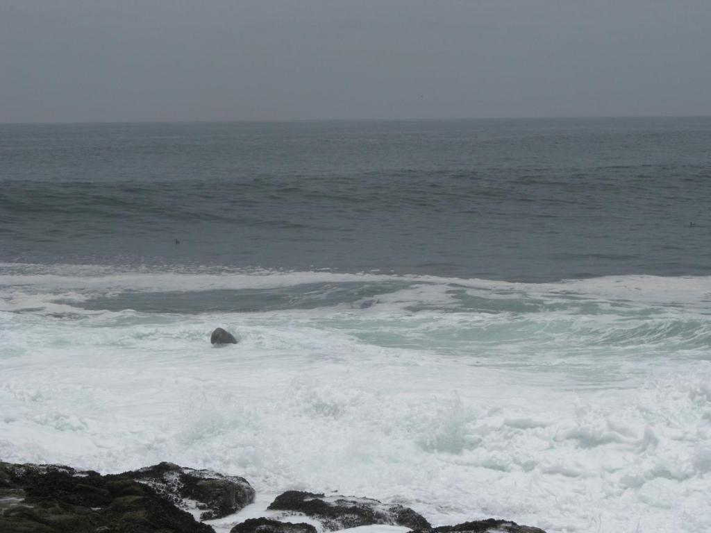 Foto de Arica, Chile