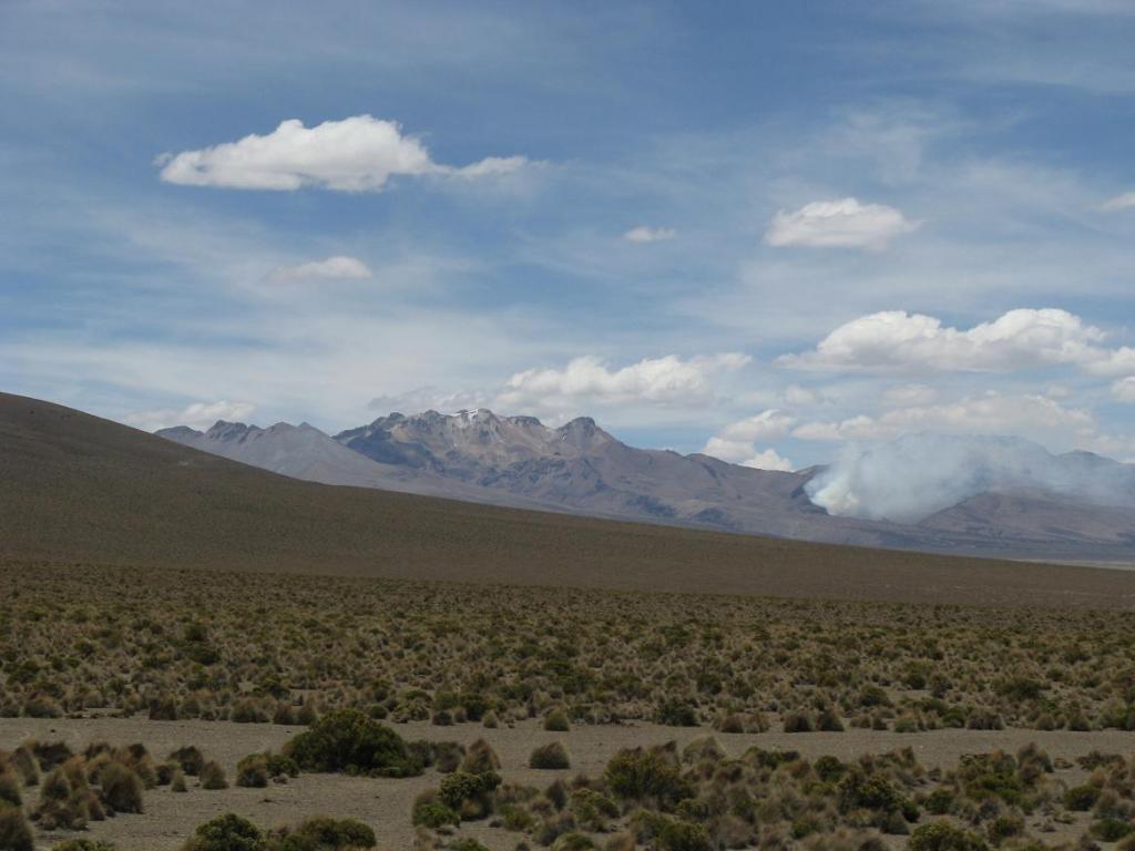 Foto de Sajama (Curahuara de Carangas), Chile