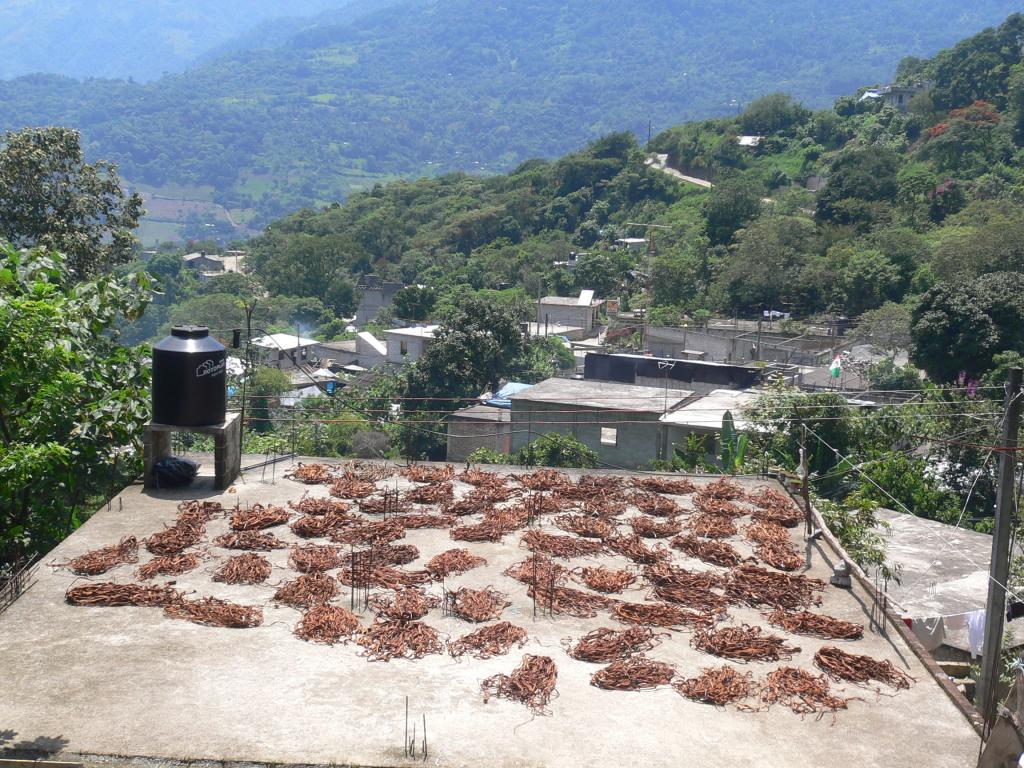 Foto de Mexico, México