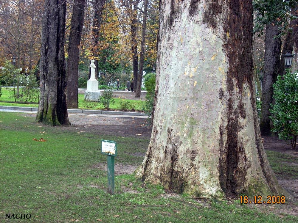 Foto de Oviedo (Asturias), España