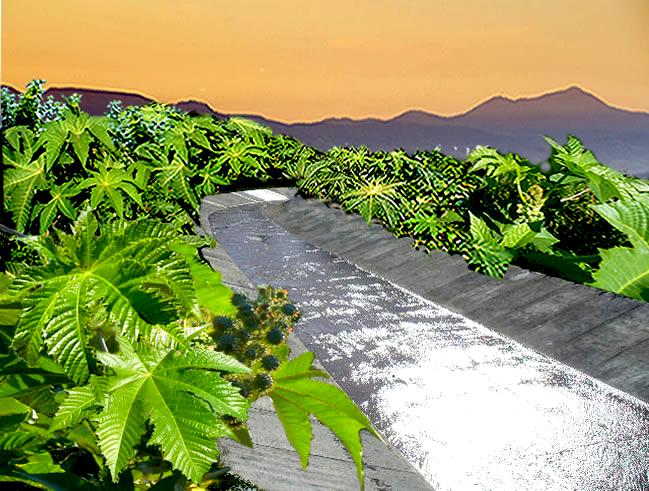 Foto de Tartagal (Salta), Argentina