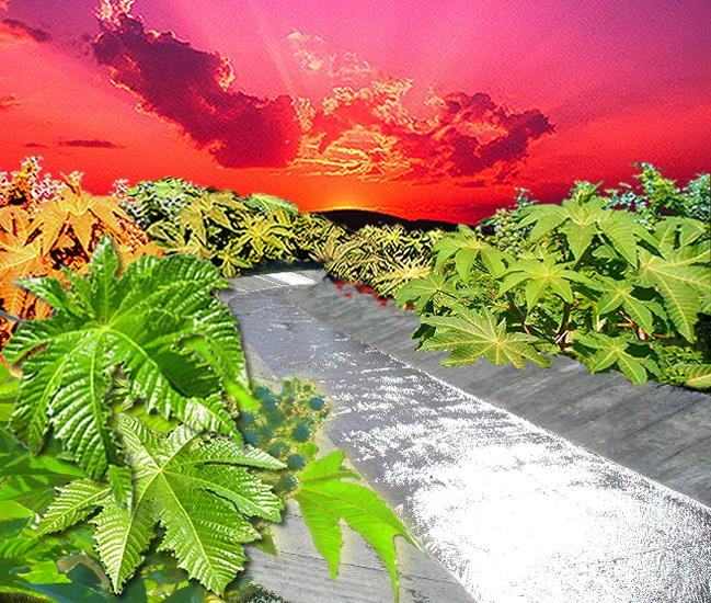 Foto de Tartagal (Salta), Argentina