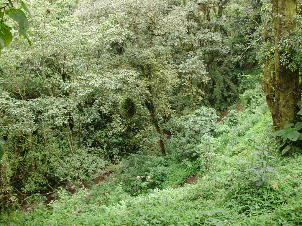 Foto de San Jose, Costa Rica