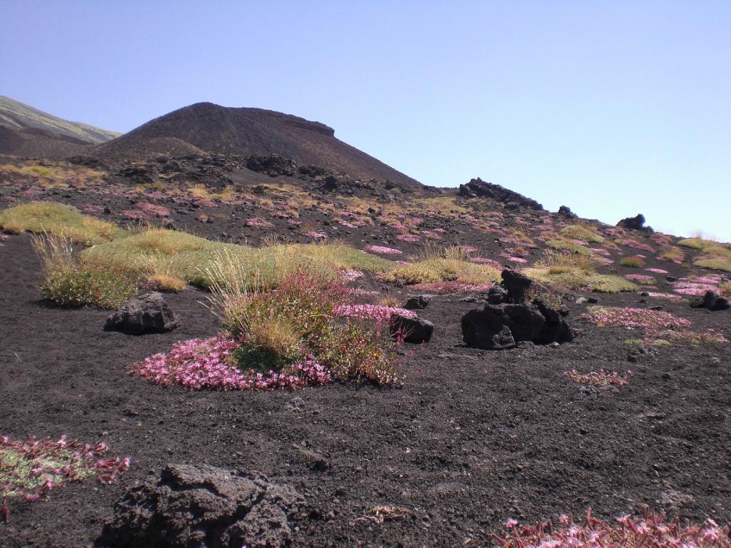 Foto de Sicilia Etna, Italia