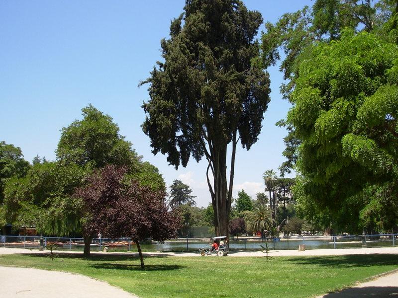 Foto de Santiago, Chile