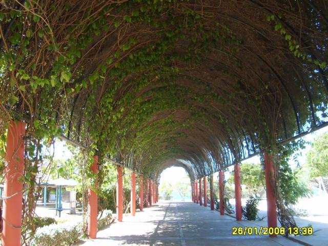 Foto de Coro (Falcon), Venezuela
