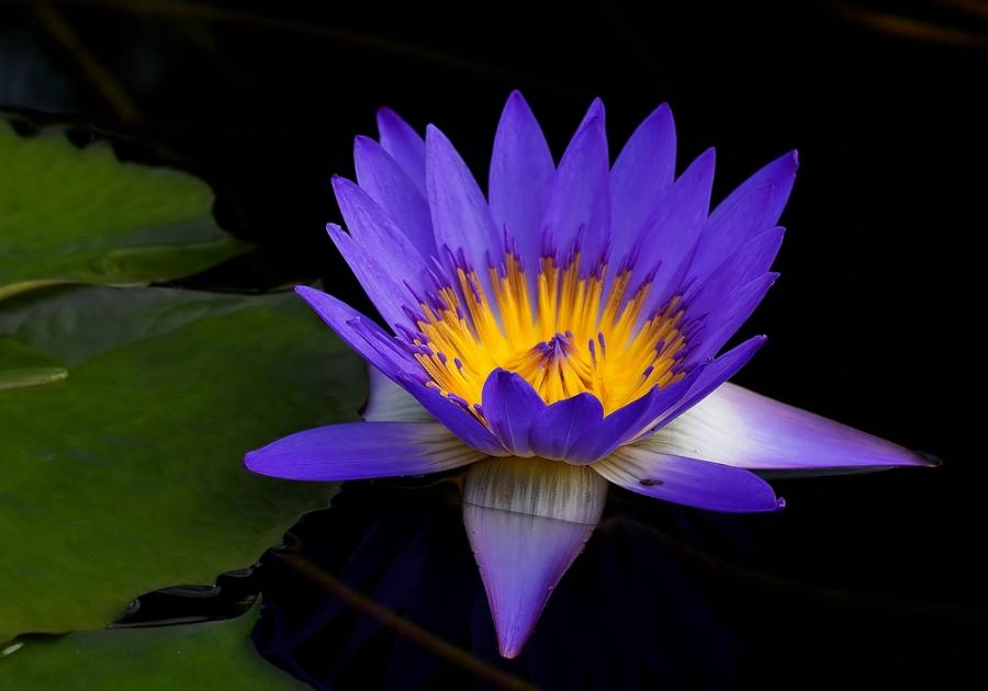 Foto de Barcelona (Cataluña), España