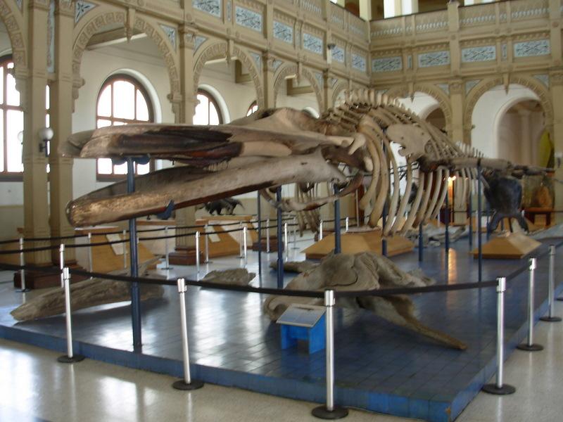 Foto de Santiago, Chile