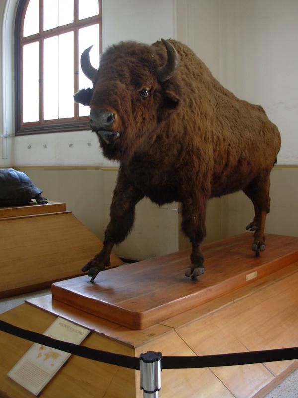 Foto de Santiago, Chile