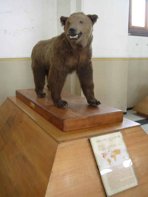 Foto de Santiago, Chile