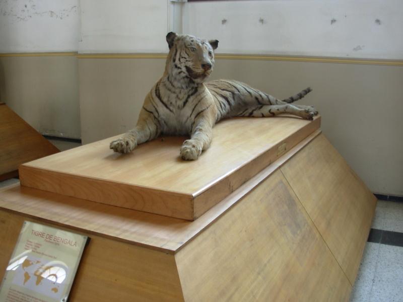 Foto de Santiago, Chile