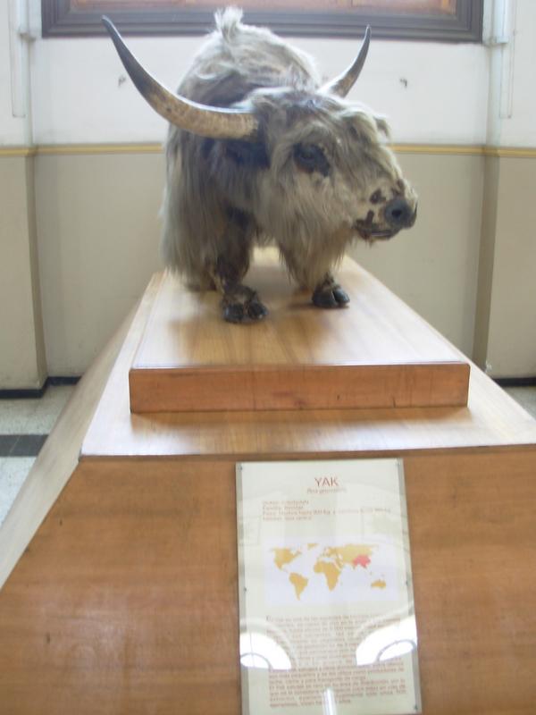 Foto de Santiago, Chile