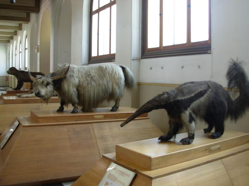 Foto de Santiago, Chile