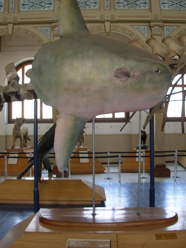 Foto de Santiago, Chile