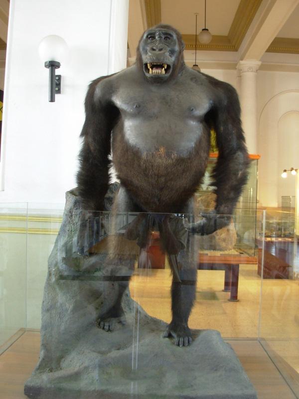 Foto de Santiago, Chile