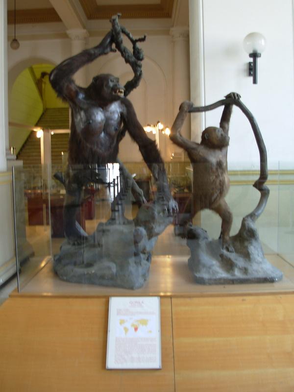 Foto de Santiago, Chile