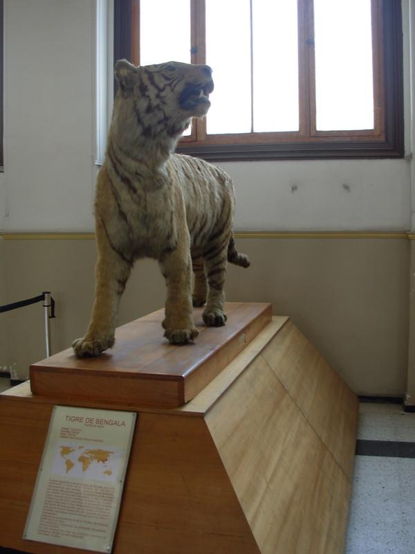 Foto de Santiago, Chile